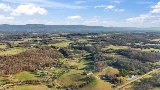 225 Mary Lamons Rd, Afton, TN 37616 - photo 105