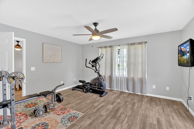 355 Wiltshire Dr, Gray, TN 37615 - photo 23