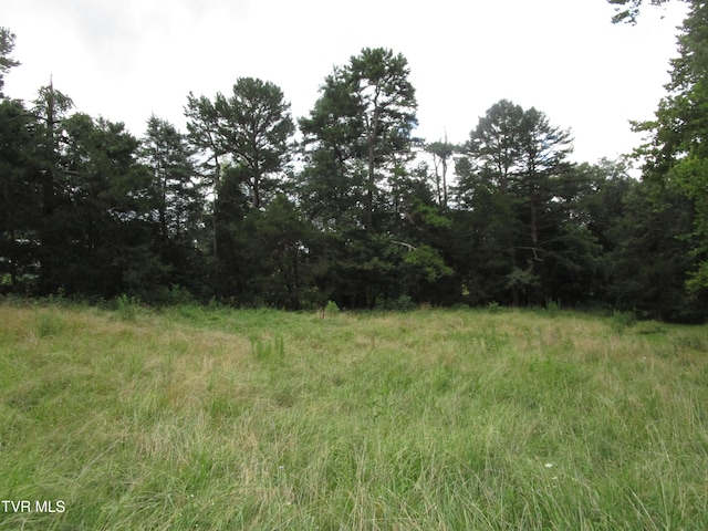 2616 Volunteer Pkwy, Bristol, TN 37620 - photo 52