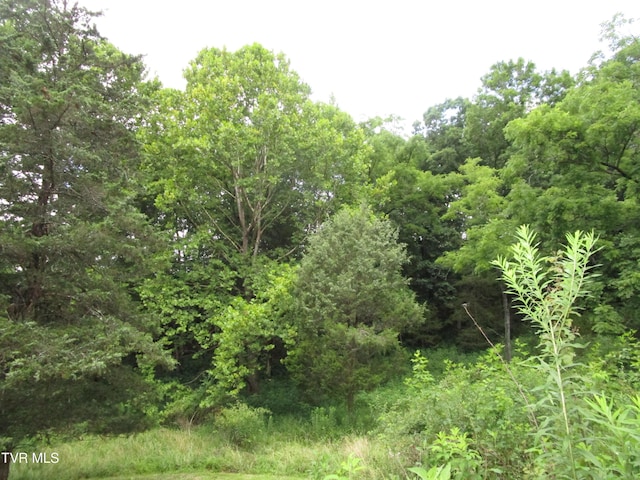 2616 Volunteer Pkwy, Bristol, TN 37620 - photo 53