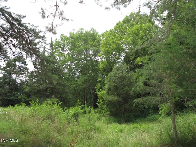 2616 Volunteer Pkwy, Bristol, TN 37620 - photo 55