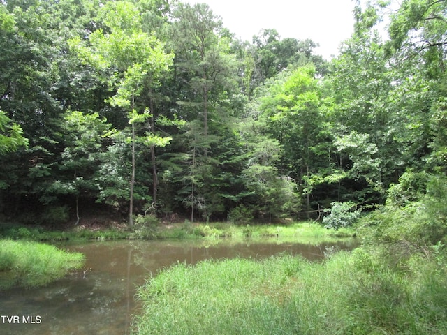 2616 Volunteer Pkwy, Bristol, TN 37620 - photo 58