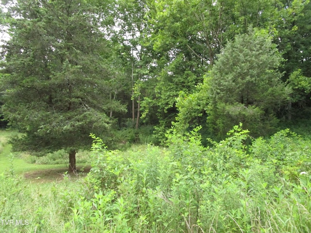 2616 Volunteer Pkwy, Bristol, TN 37620 - photo 54