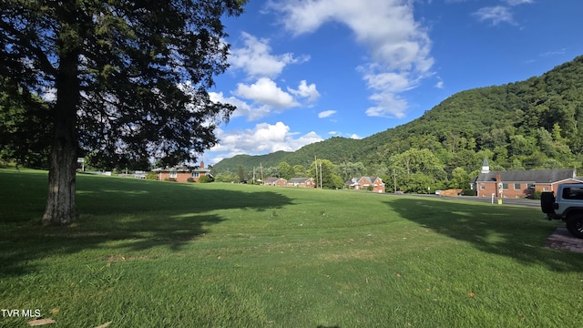 2616 Volunteer Pkwy, Bristol, TN 37620 - photo 46