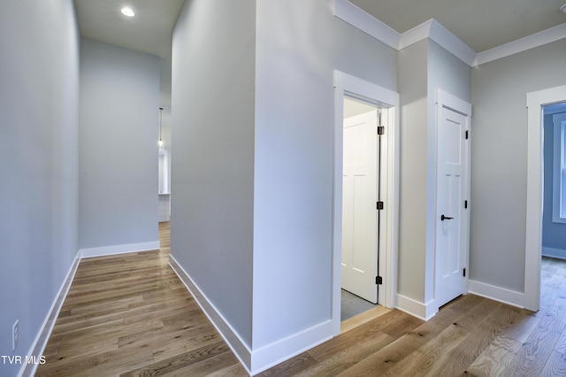 246 Winston Pl, Johnson City, TN 37615 - photo 5