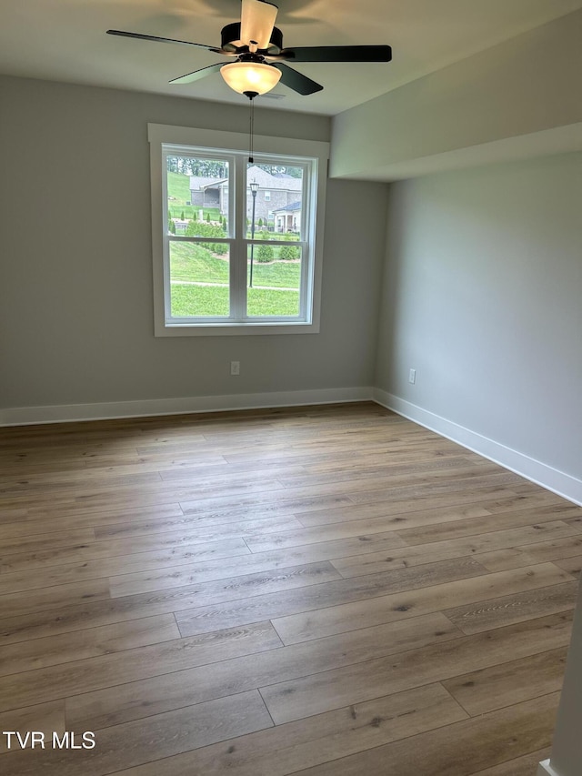 246 Winston Pl, Johnson City, TN 37615 - photo 38