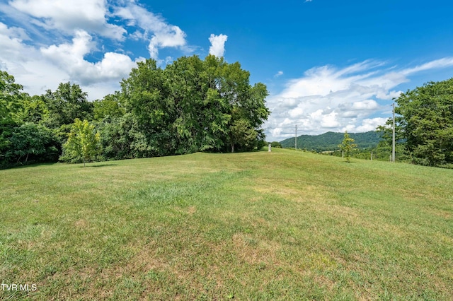 214 Stewart Hills Dr, Rogersville, TN 37857 - photo 23