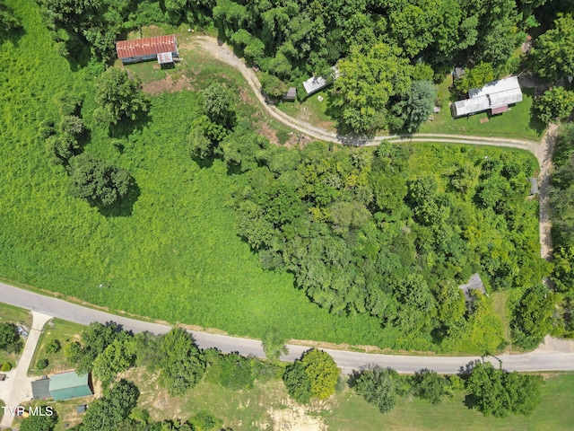 4157 Van Hill Rd, Greeneville, TN 37745 - photo 3