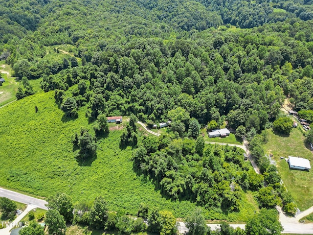 4157 Van Hill Rd, Greeneville, TN 37745 - photo 1