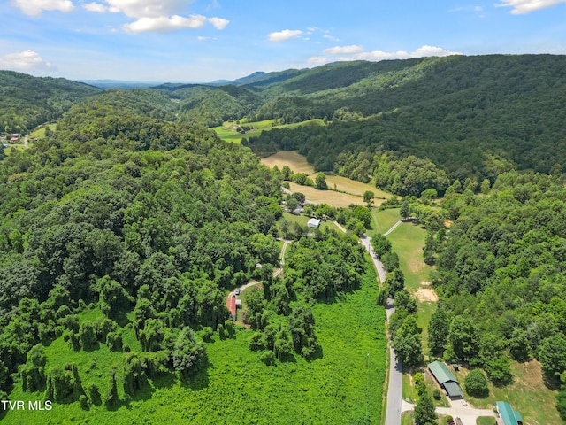 4157 Van Hill Rd, Greeneville, TN 37745 - photo 4