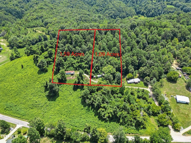 4157 Van Hill Rd, Greeneville, TN 37745 - photo 2