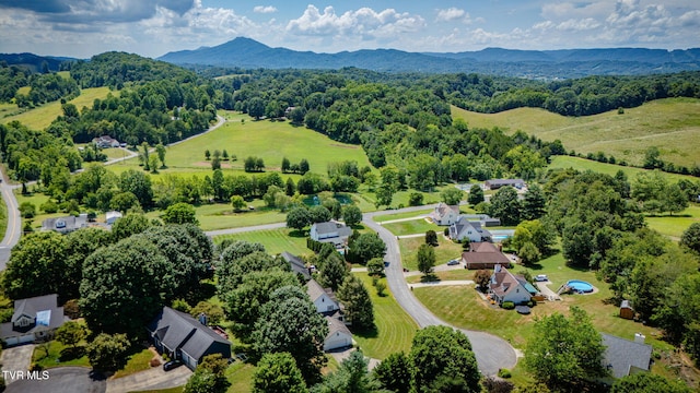 310 Sonnett Ct, Kingsport, TN 37664 - photo 49