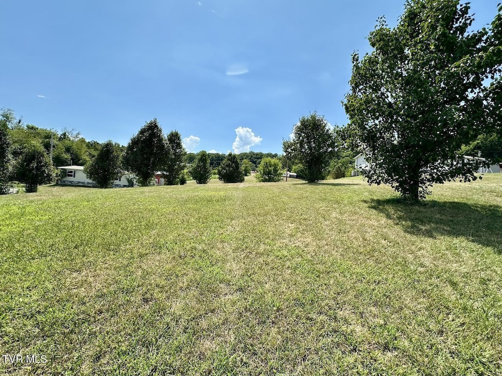 TBD Dulaney Rd, Mosheim, TN 37818 - photo 2