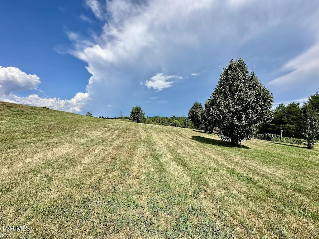 TBD Dulaney Rd, Mosheim, TN 37818 - photo 3