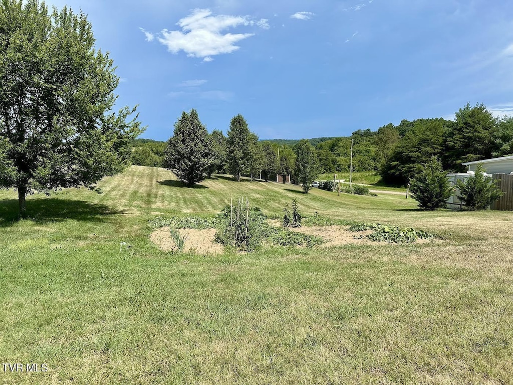 TBD Dulaney Rd, Mosheim, TN 37818 - photo 4