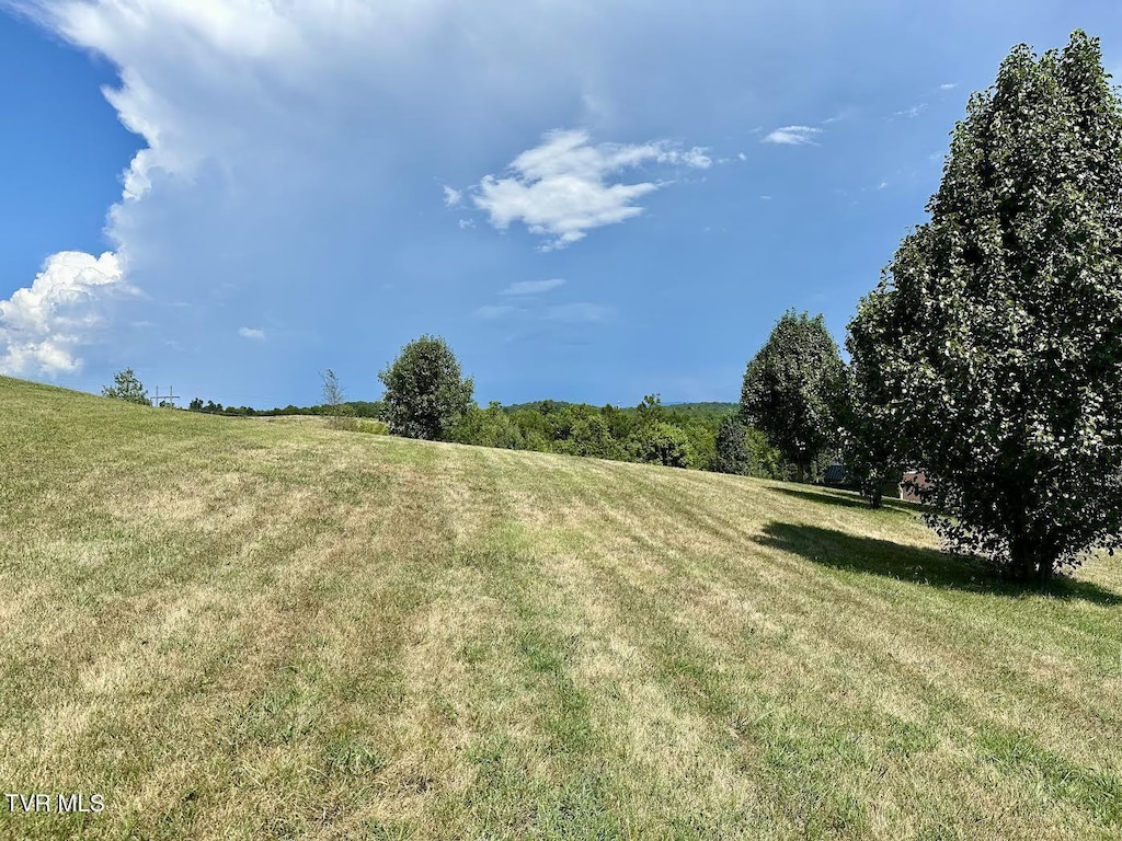 TBD Dulaney Rd, Mosheim, TN 37818 - photo 1