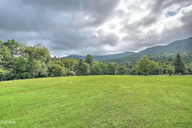 298 Rabbit Run Ln, Dryden, VA 24243 - photo 39