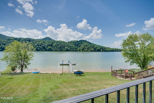 751 Jim Town Rd, Mooresburg, TN 37811 - photo 42