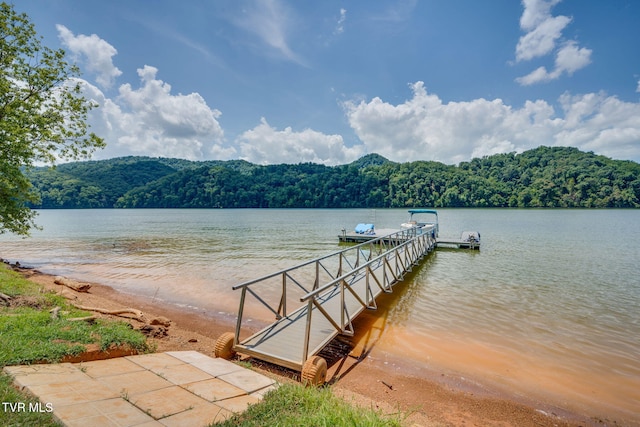 751 Jim Town Rd, Mooresburg, TN 37811 - photo 45