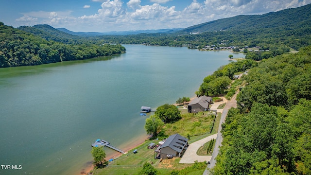 751 Jim Town Rd, Mooresburg, TN 37811 - photo 50
