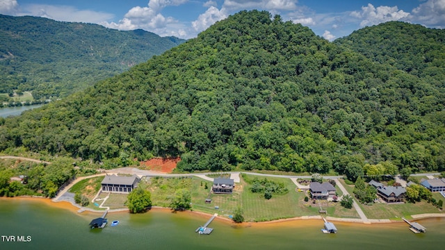 751 Jim Town Rd, Mooresburg, TN 37811 - photo 52