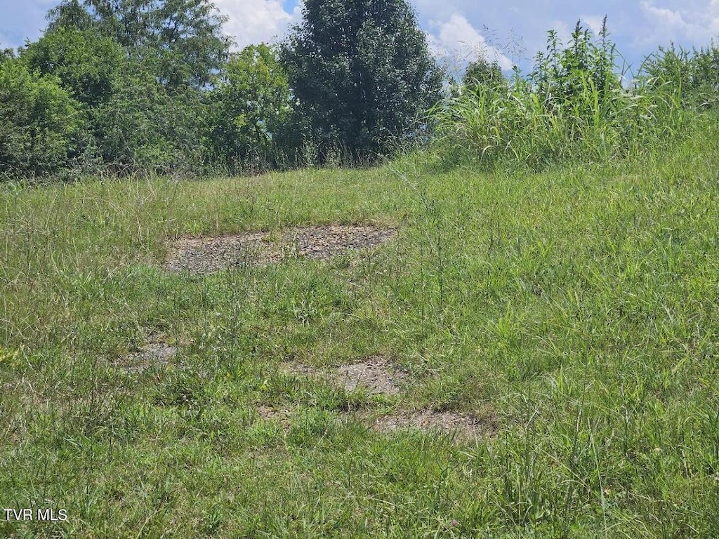 TBD Old Stage Rd, Limestone, TN 37681 - photo 2