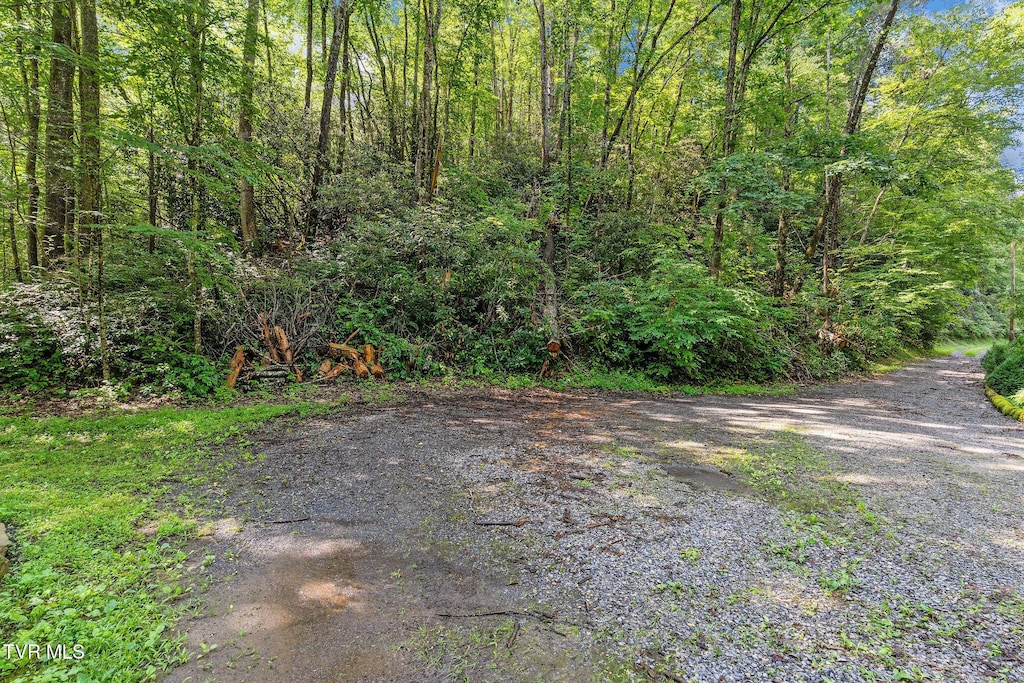 TBD Omaha Rd, Del Rio, TN 37727 - photo 1