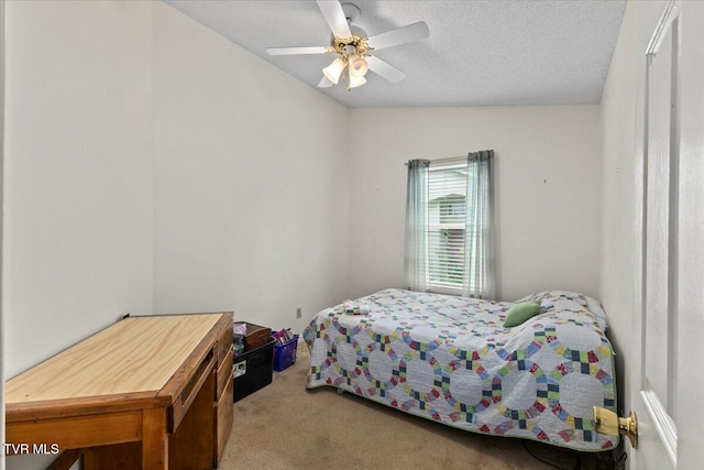 120 Flint St, Bristol, TN 37620 - photo 19