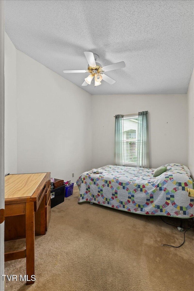 120 Flint St, Bristol, TN 37620 - photo 20