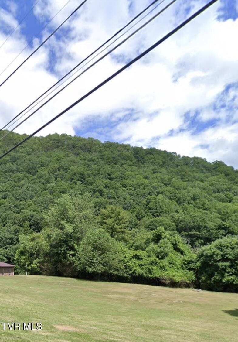 Tbd Allison Gap, Saltville, VA 24370 - photo 3