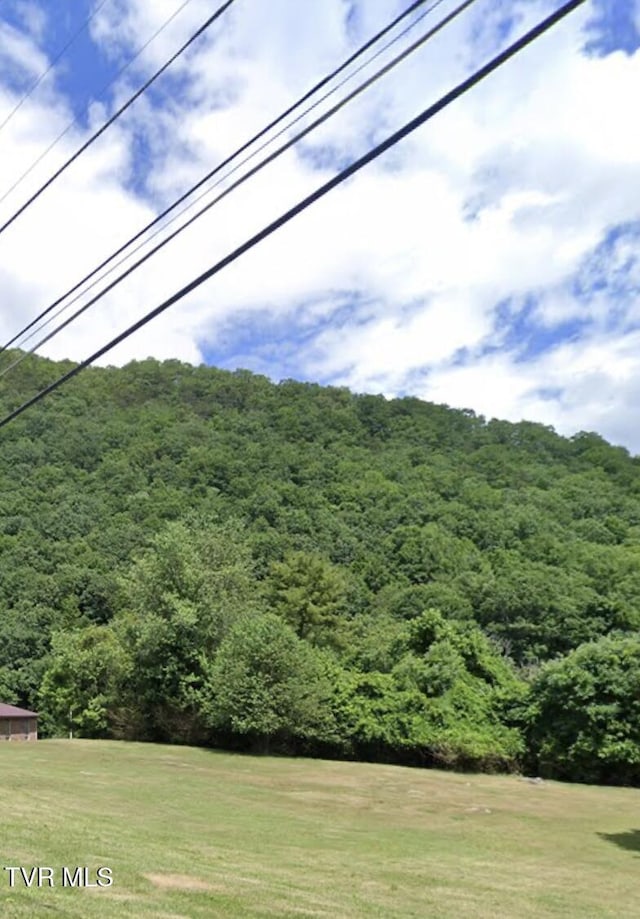 Tbd Allison Gap, Saltville, VA 24370 - photo 3