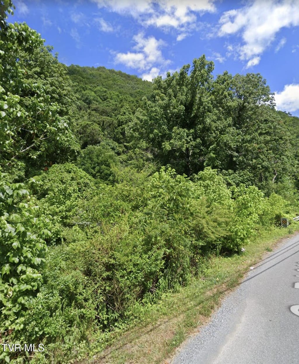 Tbd Allison Gap, Saltville, VA 24370 - photo 4