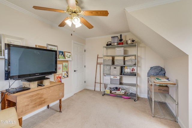 188 Mulberry Bnd, Jonesborough, TN 37659 - photo 29