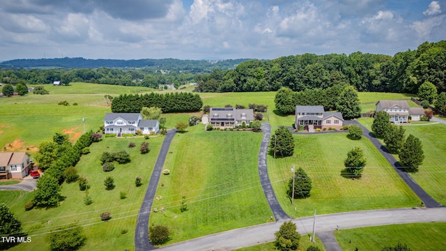 188 Mulberry Bnd, Jonesborough, TN 37659 - photo 50