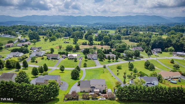 188 Mulberry Bnd, Jonesborough, TN 37659 - photo 53