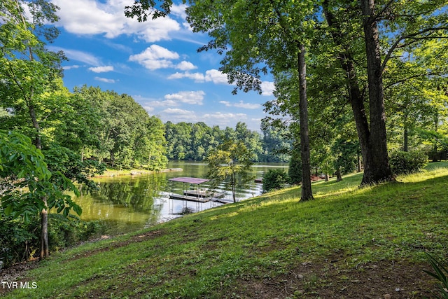 23208 Wild Cherry Ln, Abingdon, VA 24211 - photo 45