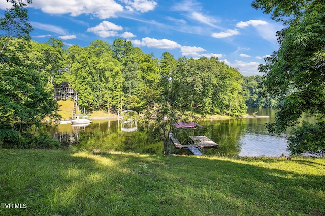 23208 Wild Cherry Ln, Abingdon, VA 24211 - photo 46