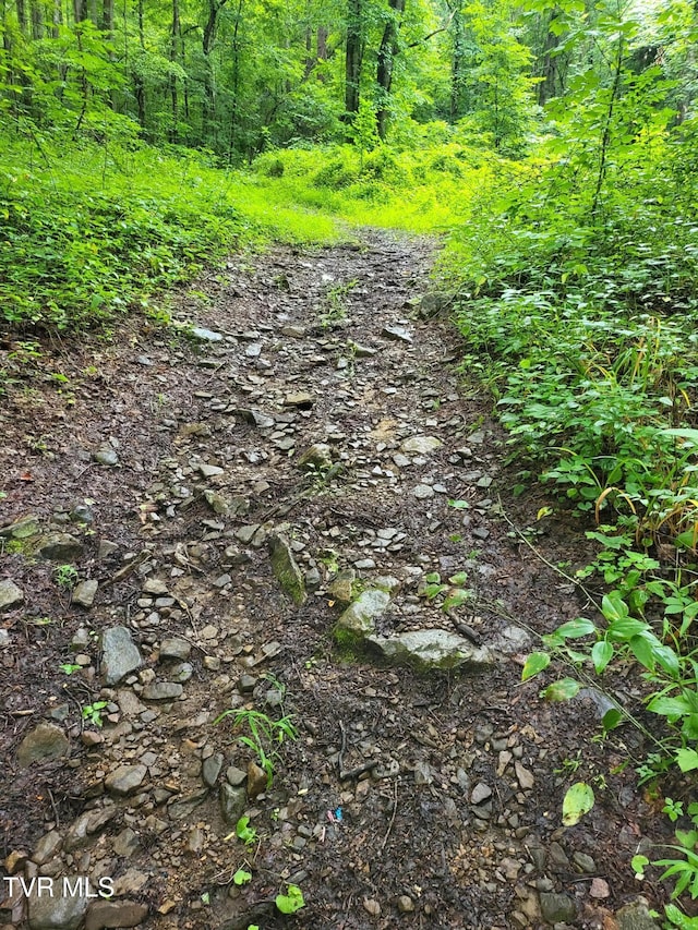 0 Dry Branch Rd, Elizabethton, TN 37643 - photo 3