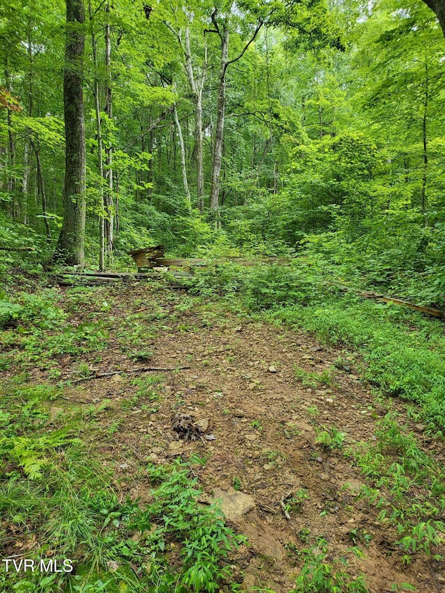 0 Dry Branch Rd, Elizabethton, TN 37643 - photo 4