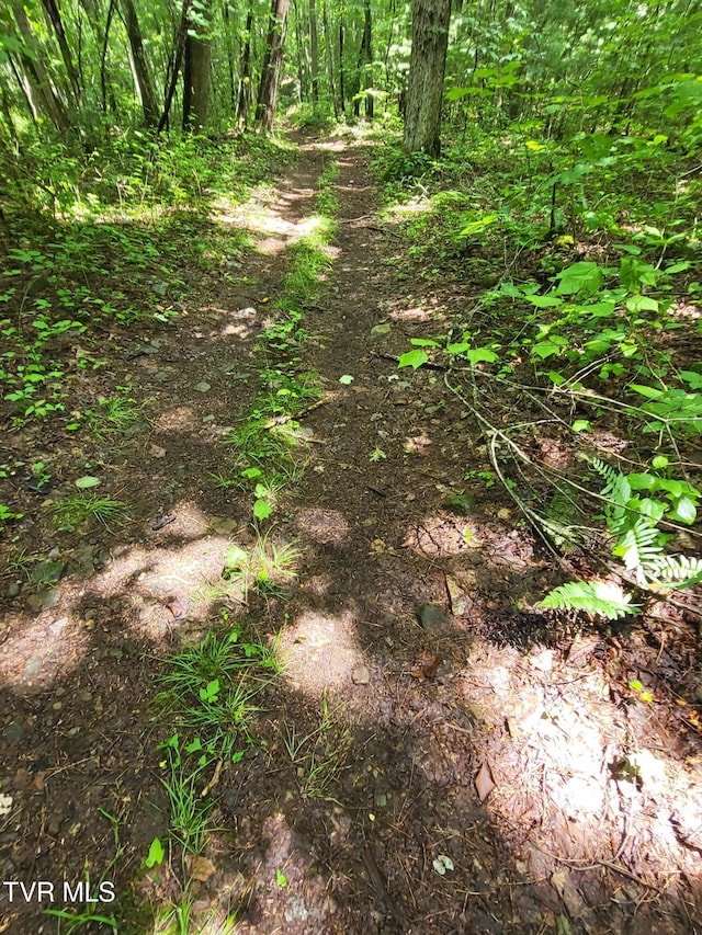 0 Dry Branch Rd, Elizabethton, TN 37643 - photo 2