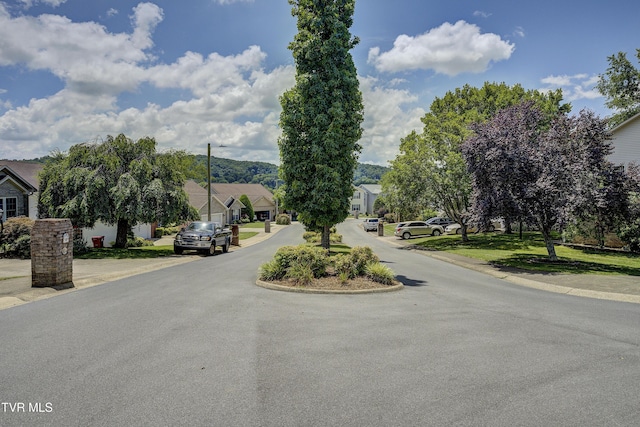 120 Chadwick Cir Unit 9, Johnson City, TN 37601 - photo 3