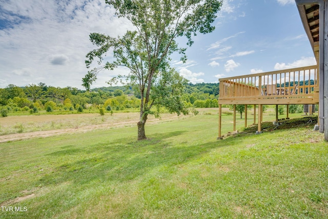 115 Belmont Ct, Kingsport, TN 37660 - photo 18
