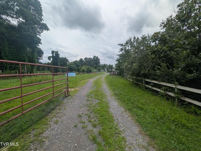 4443 Bartlick Rd, Haysi, VA 24256 - photo 3