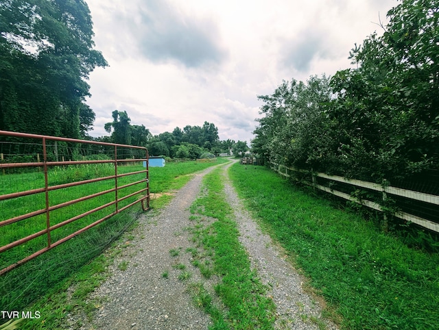 4443 Bartlick Rd, Haysi, VA 24256 - photo 4