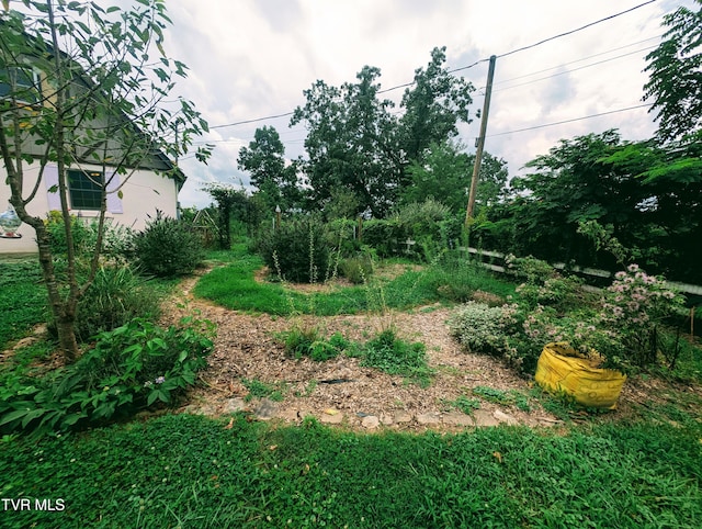 4443 Bartlick Rd, Haysi, VA 24256 - photo 8