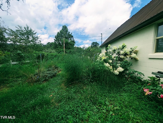 4443 Bartlick Rd, Haysi, VA 24256 - photo 15