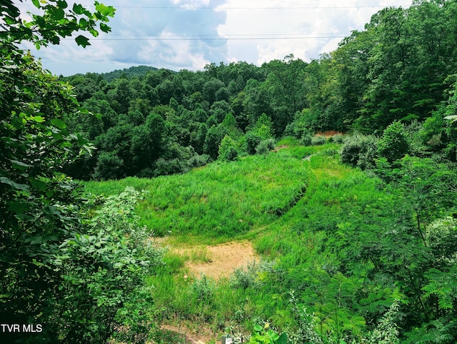 4443 Bartlick Rd, Haysi, VA 24256 - photo 20