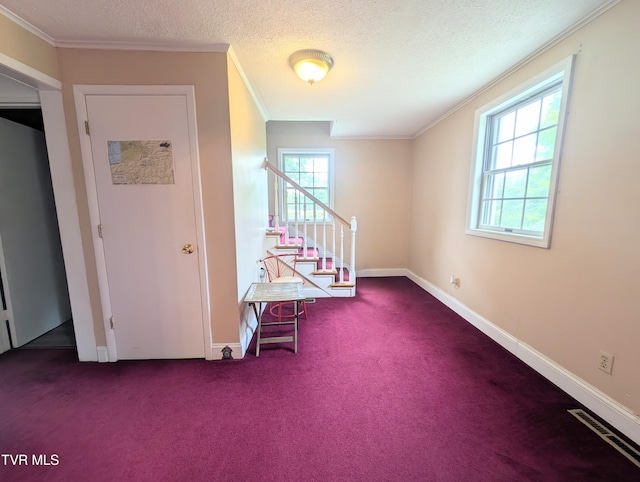 4443 Bartlick Rd, Haysi, VA 24256 - photo 29