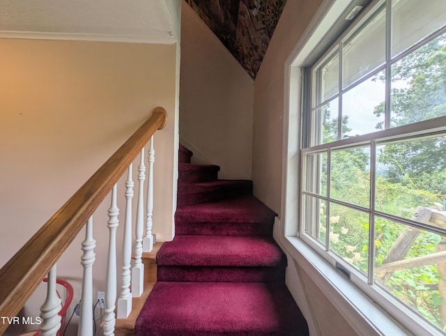4443 Bartlick Rd, Haysi, VA 24256 - photo 34