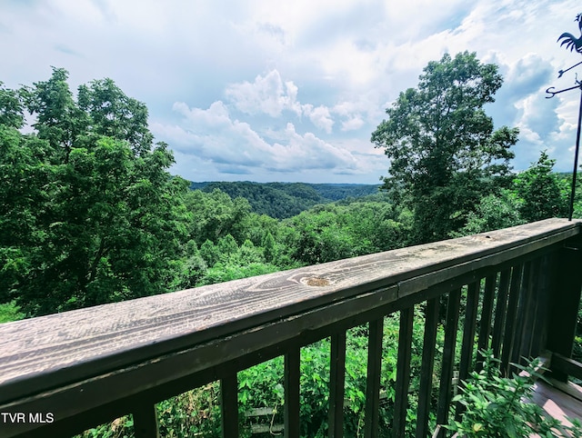 4443 Bartlick Rd, Haysi, VA 24256 - photo 42